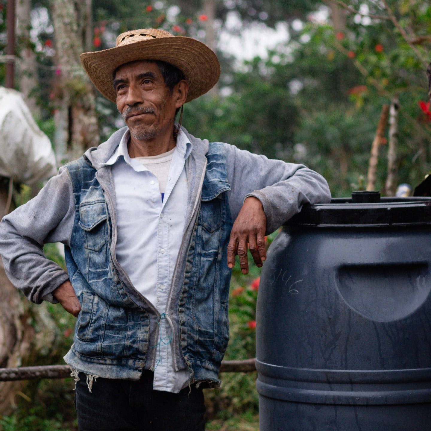 Coffee farmers harvesting beans in the lush Mexican jungle, representing the origins of Komuna specialty coffee.