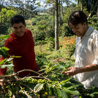 Los Pinos