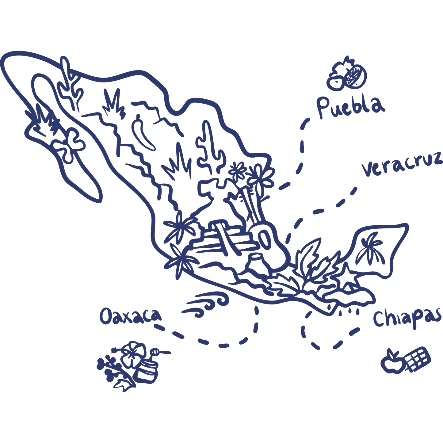 Hand-drawn map of Mexico highlighting Veracruz and Chiapas coffee regions, illustrating Komuna specialty coffee origins.