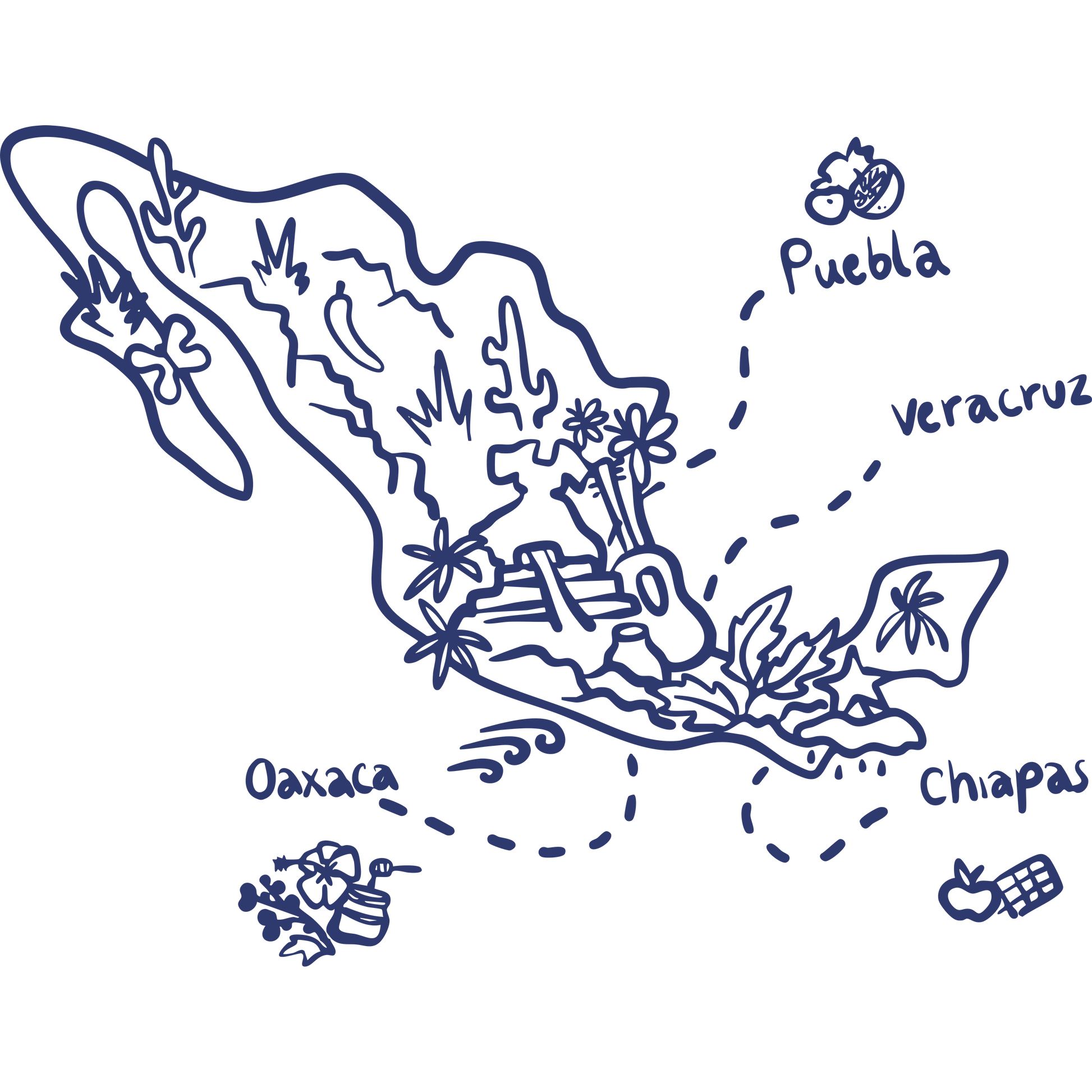 Hand-drawn map of Mexico highlighting Veracruz and Chiapas coffee regions, illustrating Komuna specialty coffee origins.