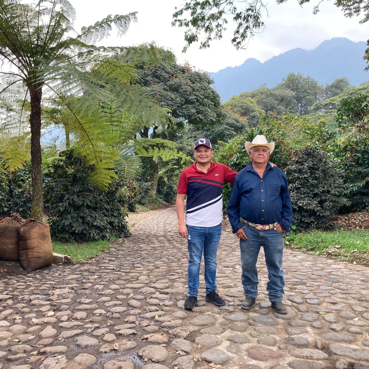 Coffee farmers harvesting beans in the lush Mexican jungle, representing the origins of Komuna specialty coffee.